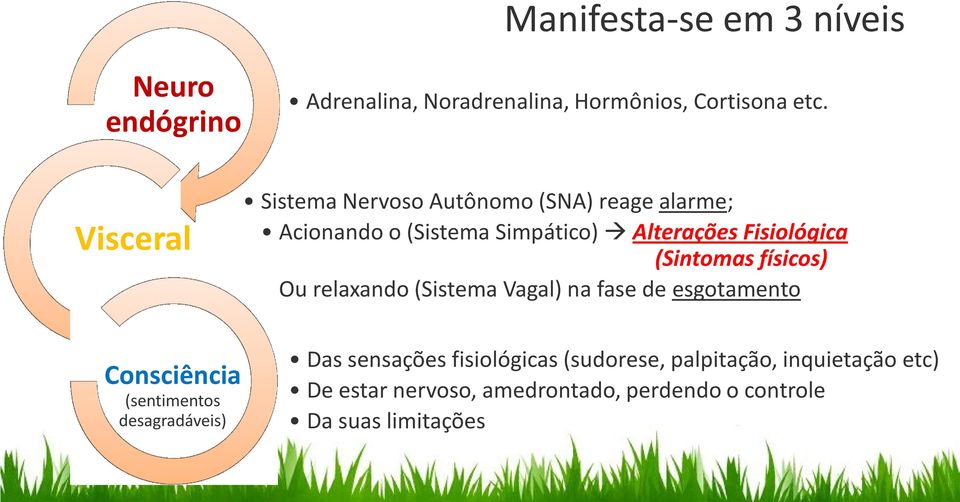 (Sintomas físicos) Ou relaxando (Sistema Vagal) na fase de esgotamento Consciência (sentimentos desagradáveis)