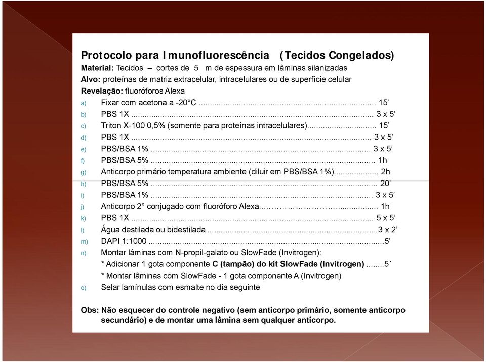 .. 3 x 5 f) PBS/BSA 5%... 1h g) Anticorpo primário temperatura ambiente (diluir em PBS/BSA 1%)... 2h h) PBS/BSA 5%... 20 i) PBS/BSA 1%... 3 x 5 j) Anticorpo 2 conjugado com fluoróforo Alexa.