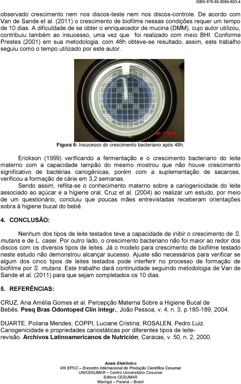 Conforme Prestes (2001) em sua metodologia, com 48h obteve-se resultado, assim, este trabalho seguiu como o tempo utilizado por este autor. Figura 6: Insucesso do crescimento bacteriano após 48h.