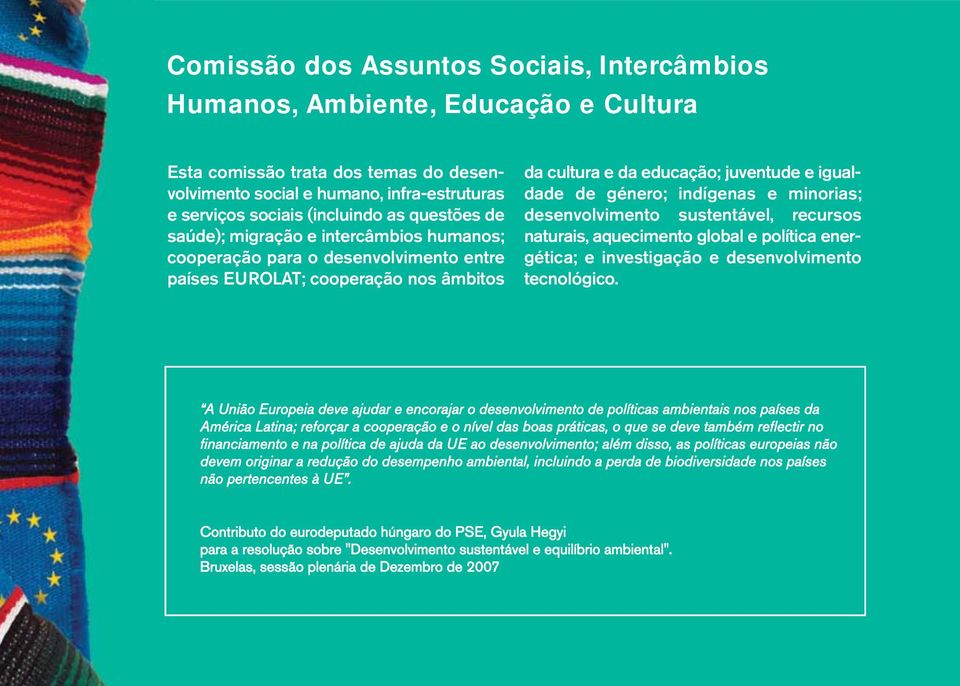 indígenas e minorias; desenvolvimento sustentável, recursos naturais, aquecimento global e política energética; e investigação e desenvolvimento tecnológico.