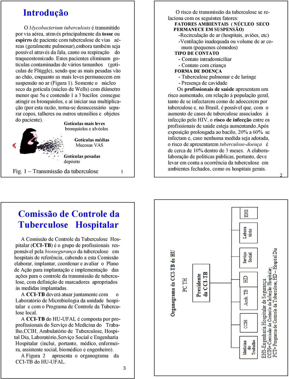 Estes pacientes eliminam gotículas contaminadas de vários tamanhos (gotículas de Flüggle), sendo que as mais pesadas vão ao chão, enquanto as mais leves permanecem em suspensão no ar (Figura 1).