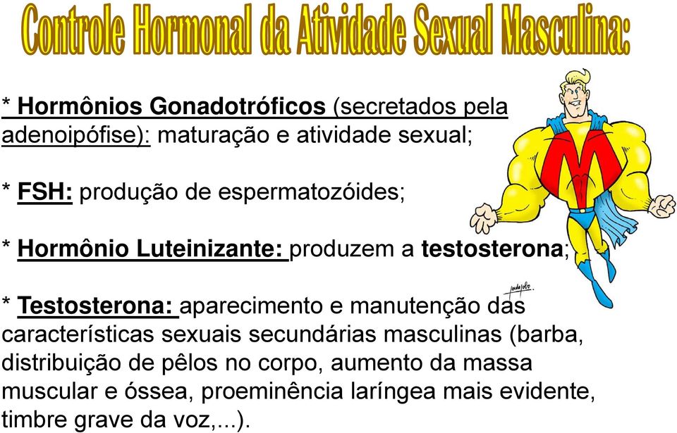 aparecimento e manutenção das características sexuais secundárias masculinas (barba, distribuição de