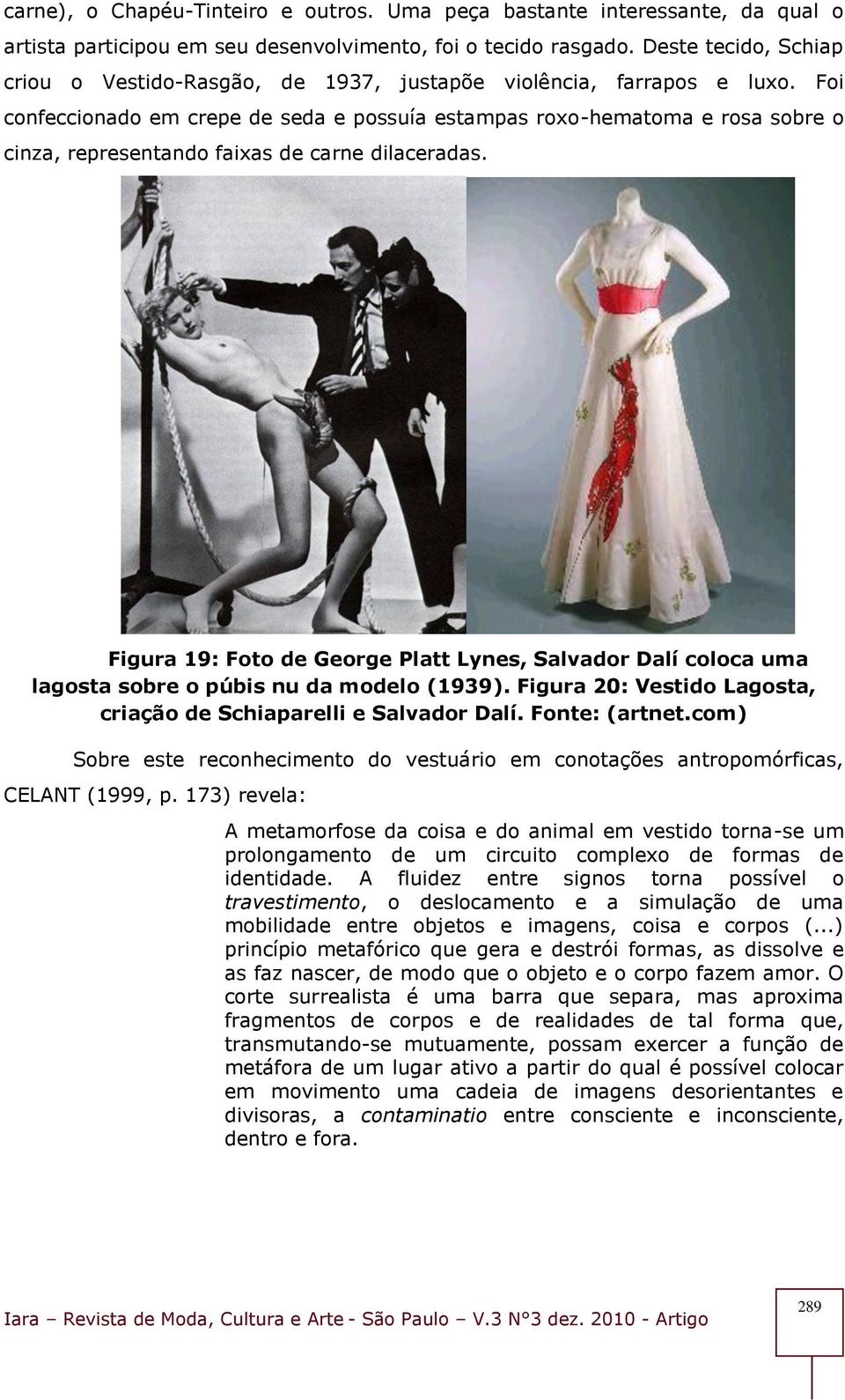 Foi confeccionado em crepe de seda e possuía estampas roxo-hematoma e rosa sobre o cinza, representando faixas de carne dilaceradas.