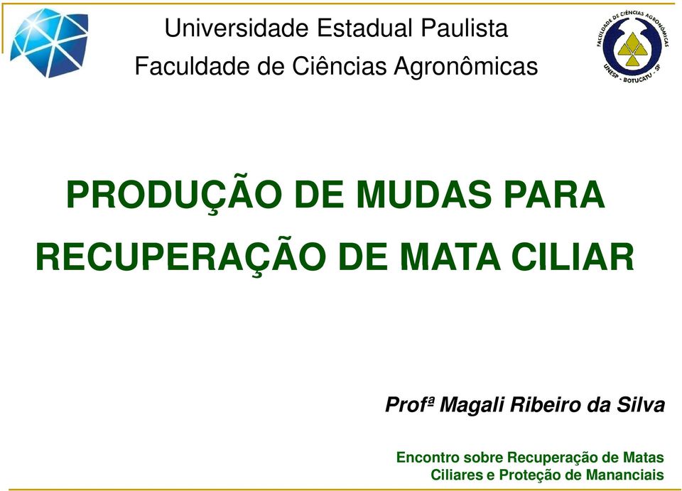 MATA CILIAR Profª Magali Ribeiro da Silva Encontro