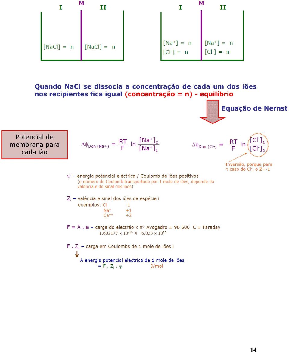 (concentração = n) - equilíbrio Equação de