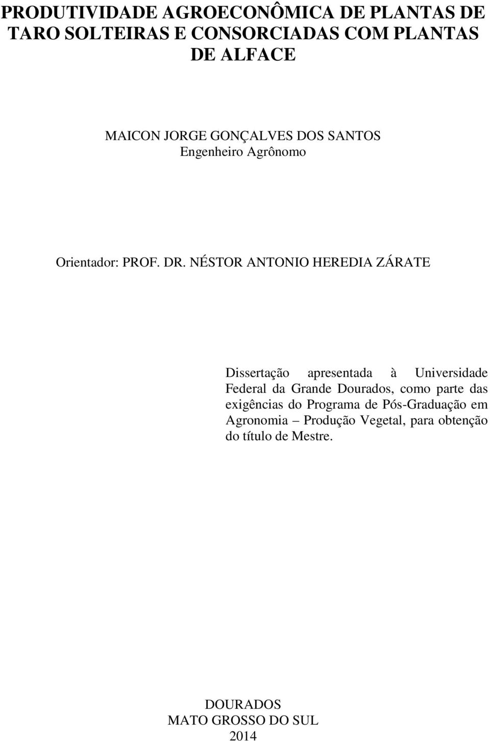 NÉSTOR ANTONIO HEREDIA ZÁRATE Dissertação apresentada à Universidade Federal da Grande Dourados, como