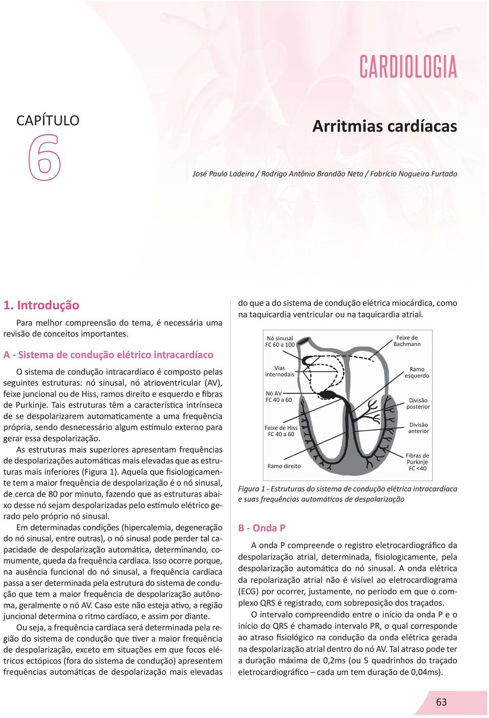 A - Sistema de condução elétrico intracardíaco O sistema de condução intracardíaco é composto pelas seguintes estruturas: nó sinusal, nó atrioventricular (AV), feixe juncional ou de Hiss, ramos