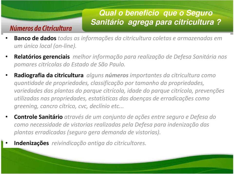 Radiografia da citricultura alguns números importantes da citricultura como quantidade de propriedades, classificação por tamanho da propriedades, variedades das plantas do parque citrícola, idade do