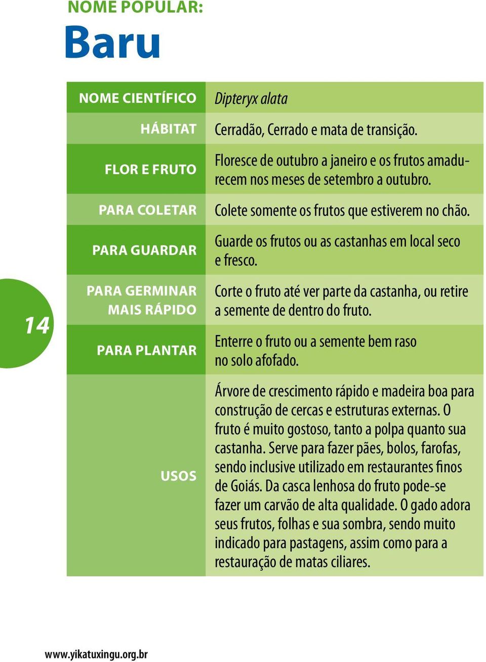 Corte o fruto até ver parte da castanha, ou retire a semente de dentro do fruto. Enterre o fruto ou a semente bem raso no solo afofado.