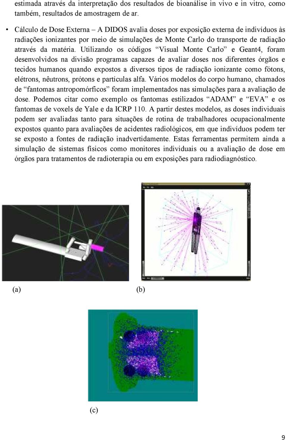 Utilizando os códigos Visual Monte Carlo e Geant4, foram desenvolvidos na divisão programas capazes de avaliar doses nos diferentes órgãos e tecidos humanos quando expostos a diversos tipos de