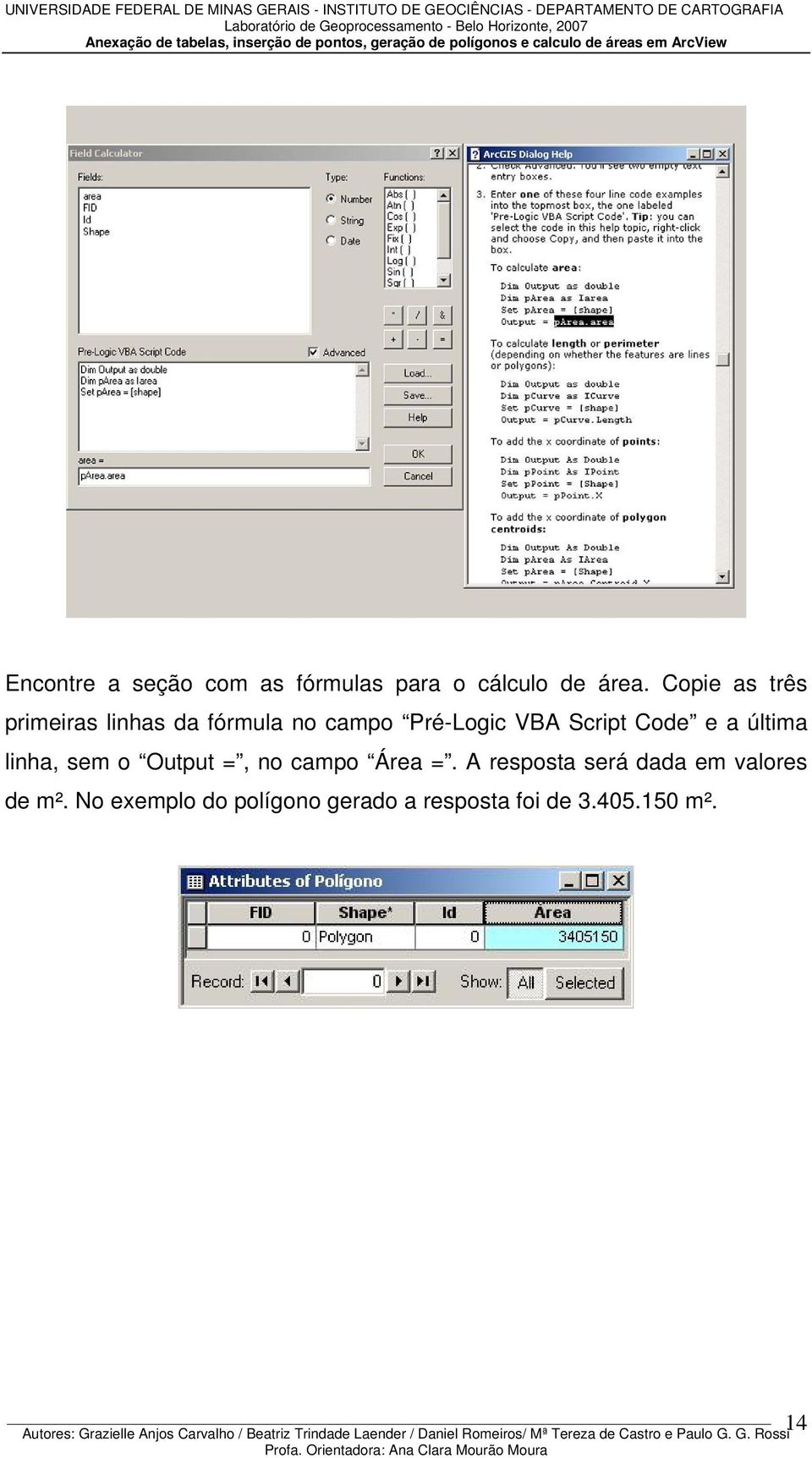 Code e a última linha, sem o Output =, no campo Área =.