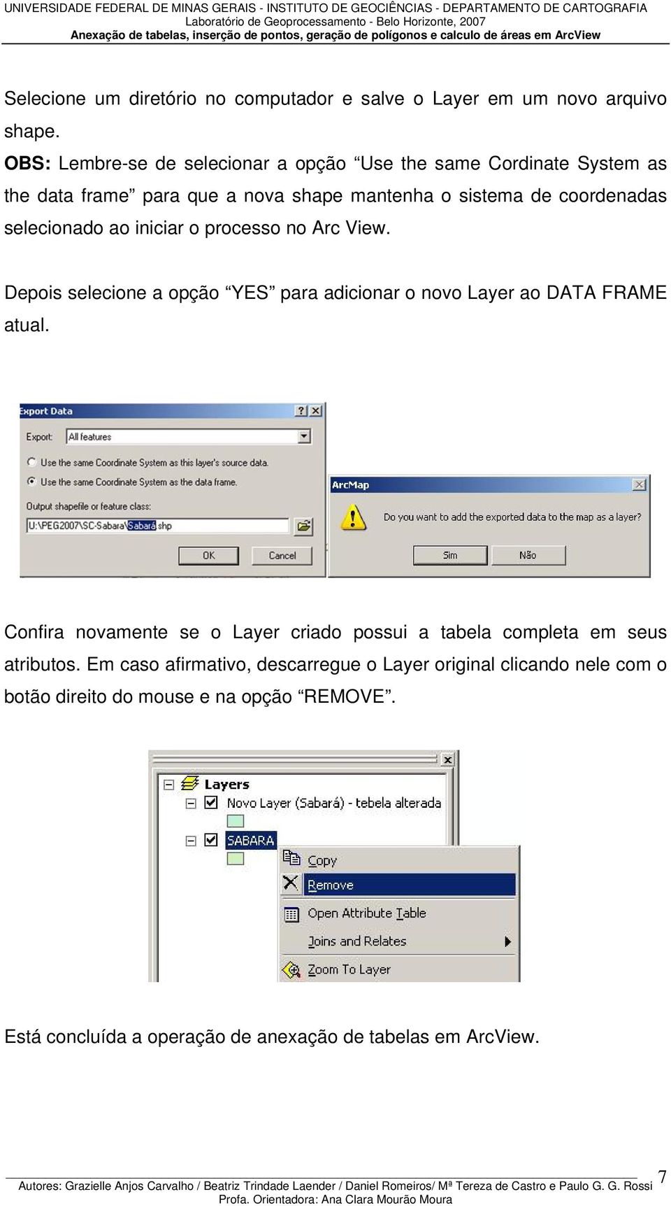 selecionado ao iniciar o processo no Arc View. Depois selecione a opção YES para adicionar o novo Layer ao DATA FRAME atual.