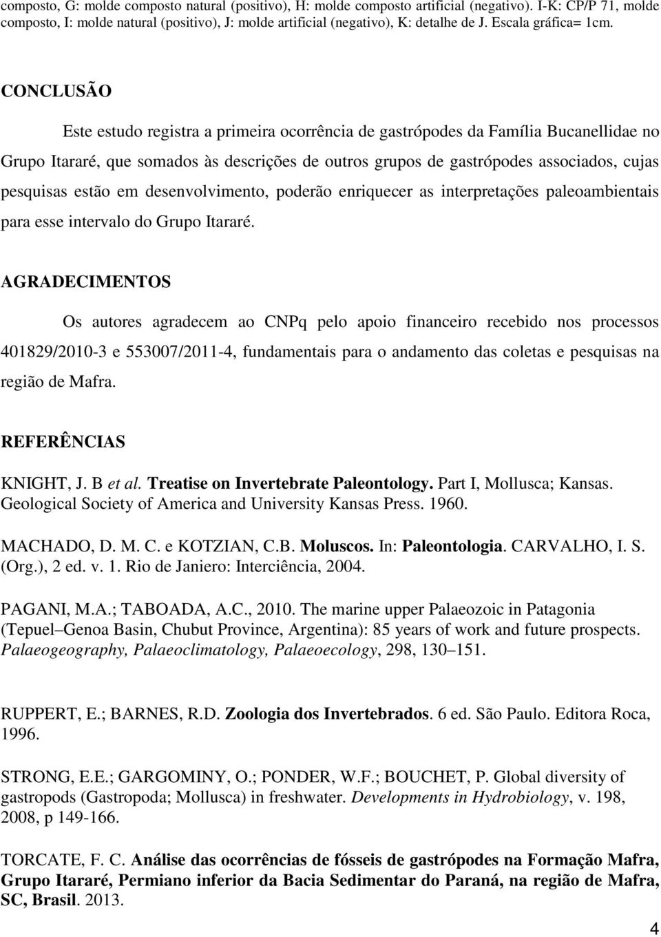 CONCLUSÃO Este estudo registra a primeira ocorrência de gastrópodes da Família Bucanellidae no Grupo Itararé, que somados às descrições de outros grupos de gastrópodes associados, cujas pesquisas