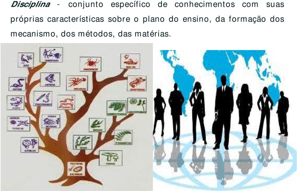 características sobre o plano do ensino,