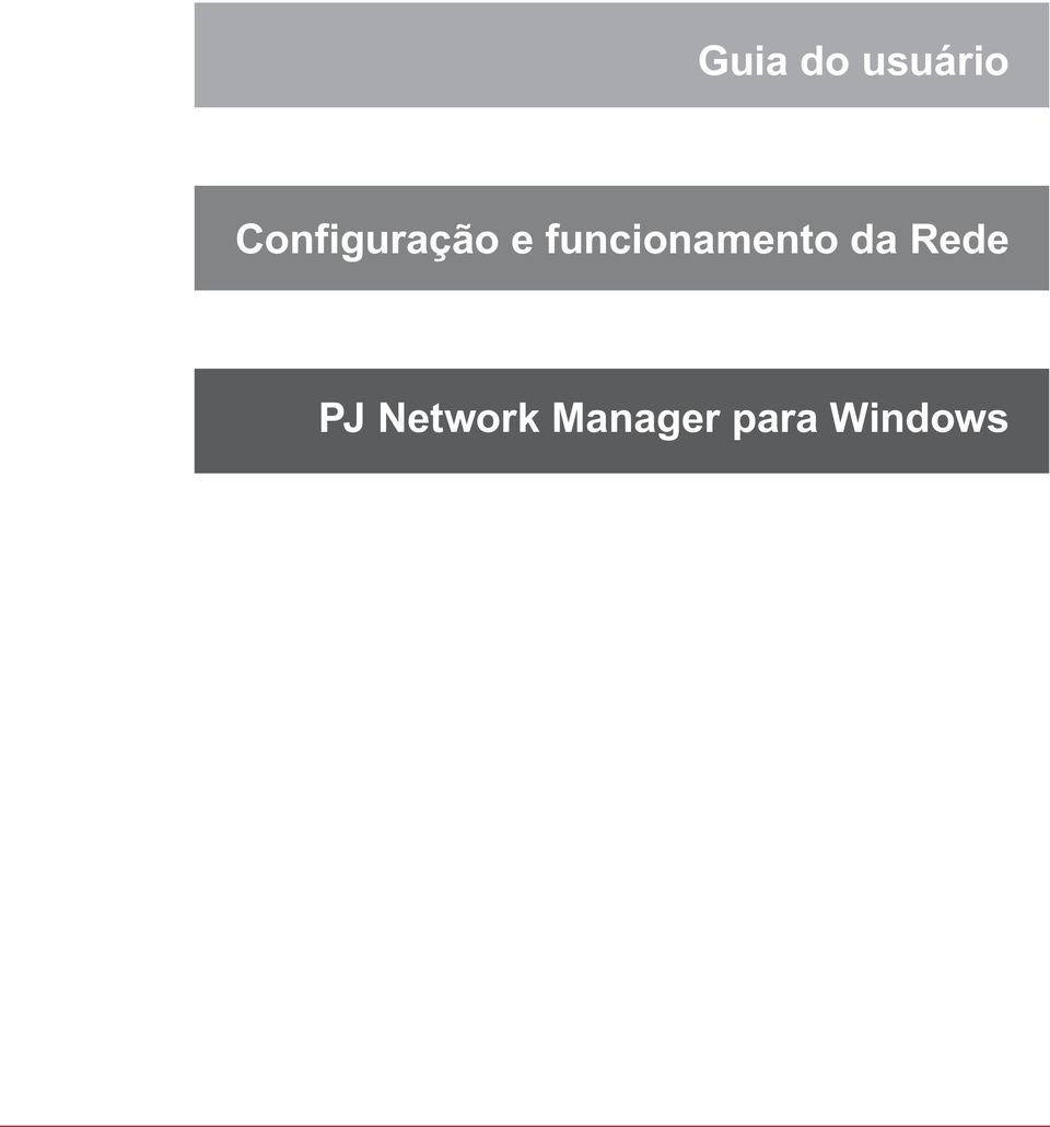 Network Manager para Windows