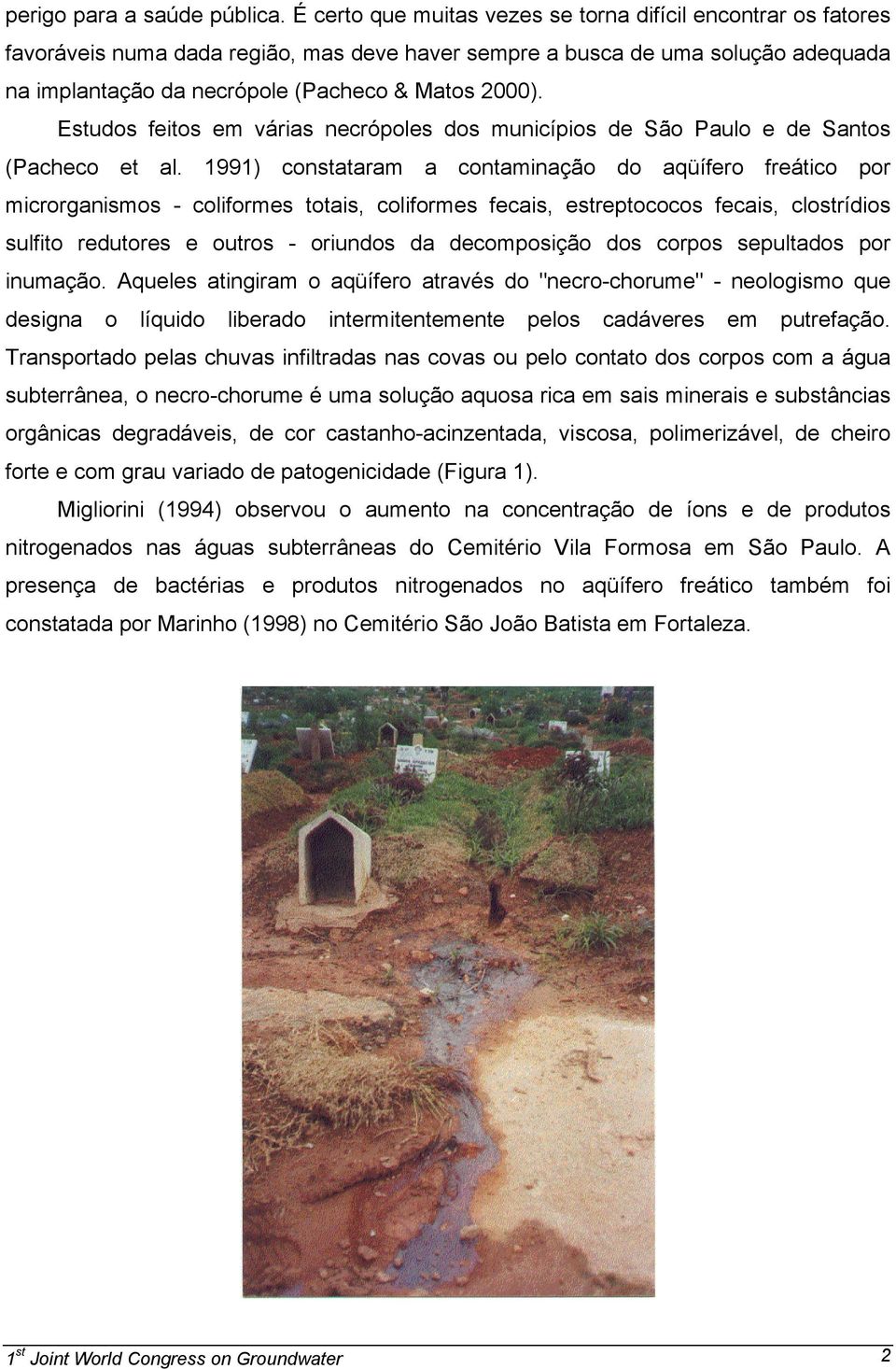 Estudos feitos em várias necrópoles dos municípios de São Paulo e de Santos (Pacheco et al.