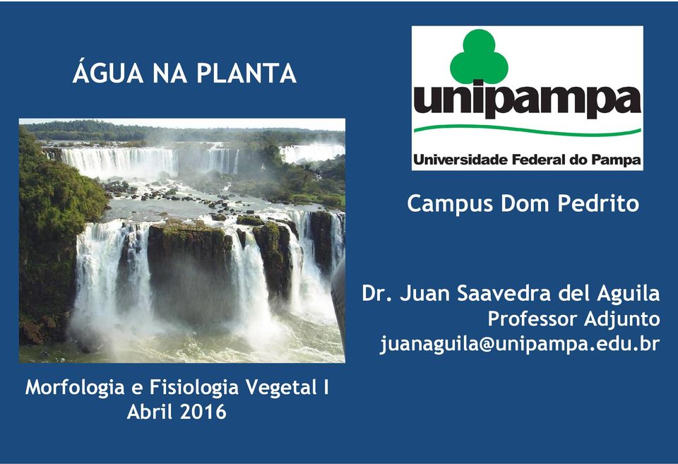 Adjunto juanaguila@unipampa.edu.