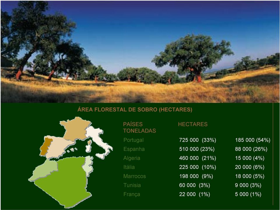 000 (21%) 15 000 (4%) Itália 225 000 (10%) 20 000 (6%) Marrocos 198 000