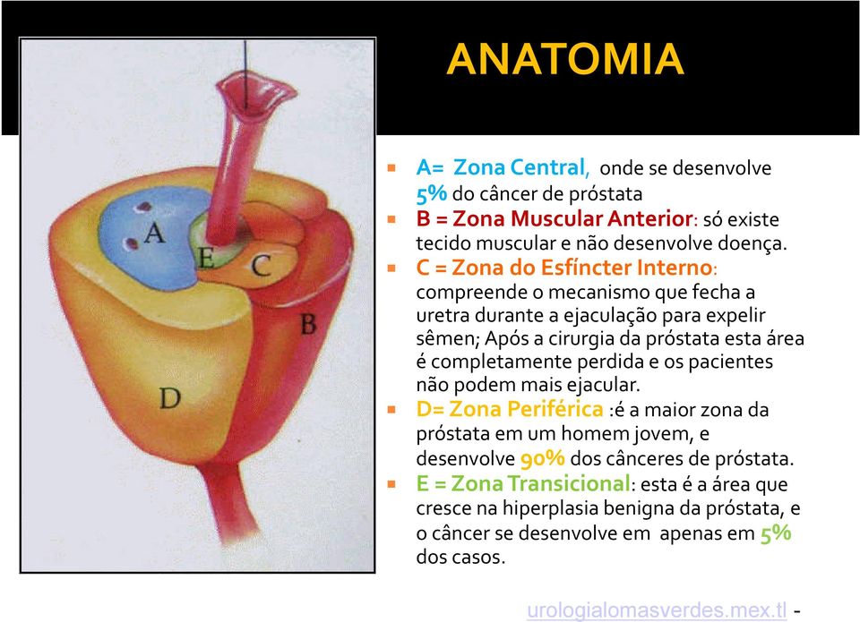 completamente perdida e os pacientes não podem mais ejacular.