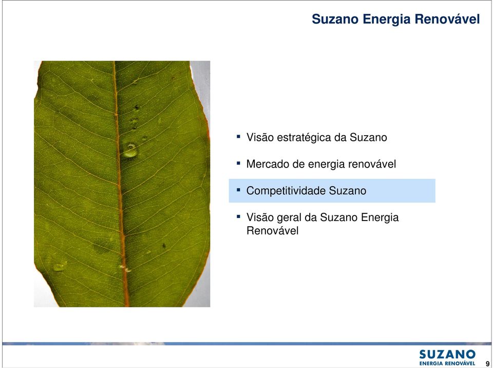 energia renovável Competitividade