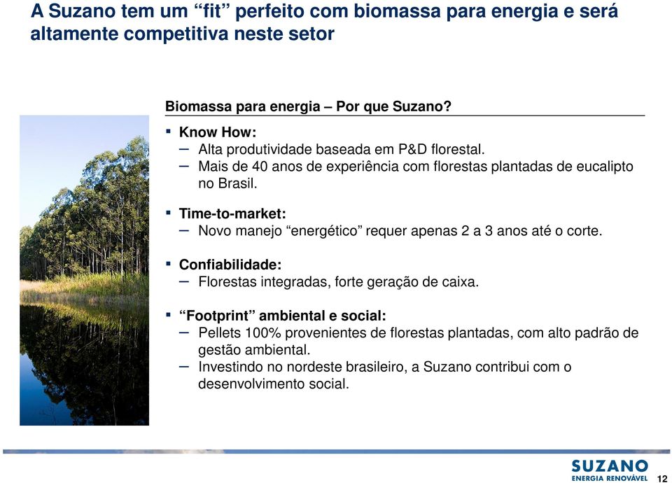 Time-to-market: Novo manejo energético requer apenas 2 a 3 anos até o corte. Confiabilidade: Florestas integradas, forte geração de caixa.