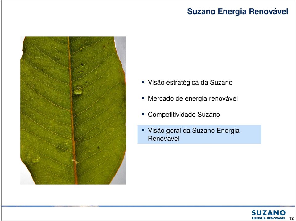 energia renovável Competitividade