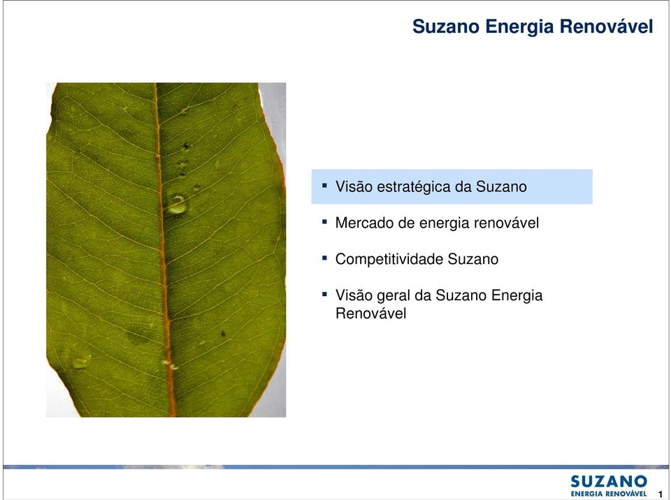 energia renovável Competitividade