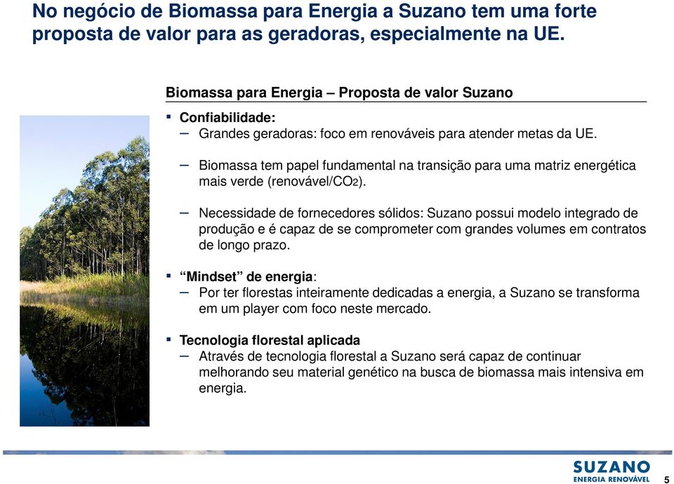 Biomassa tem papel fundamental na transição para uma matriz energética mais verde (renovável/co2).