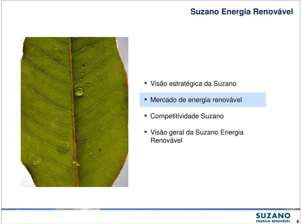 energia renovável Competitividade