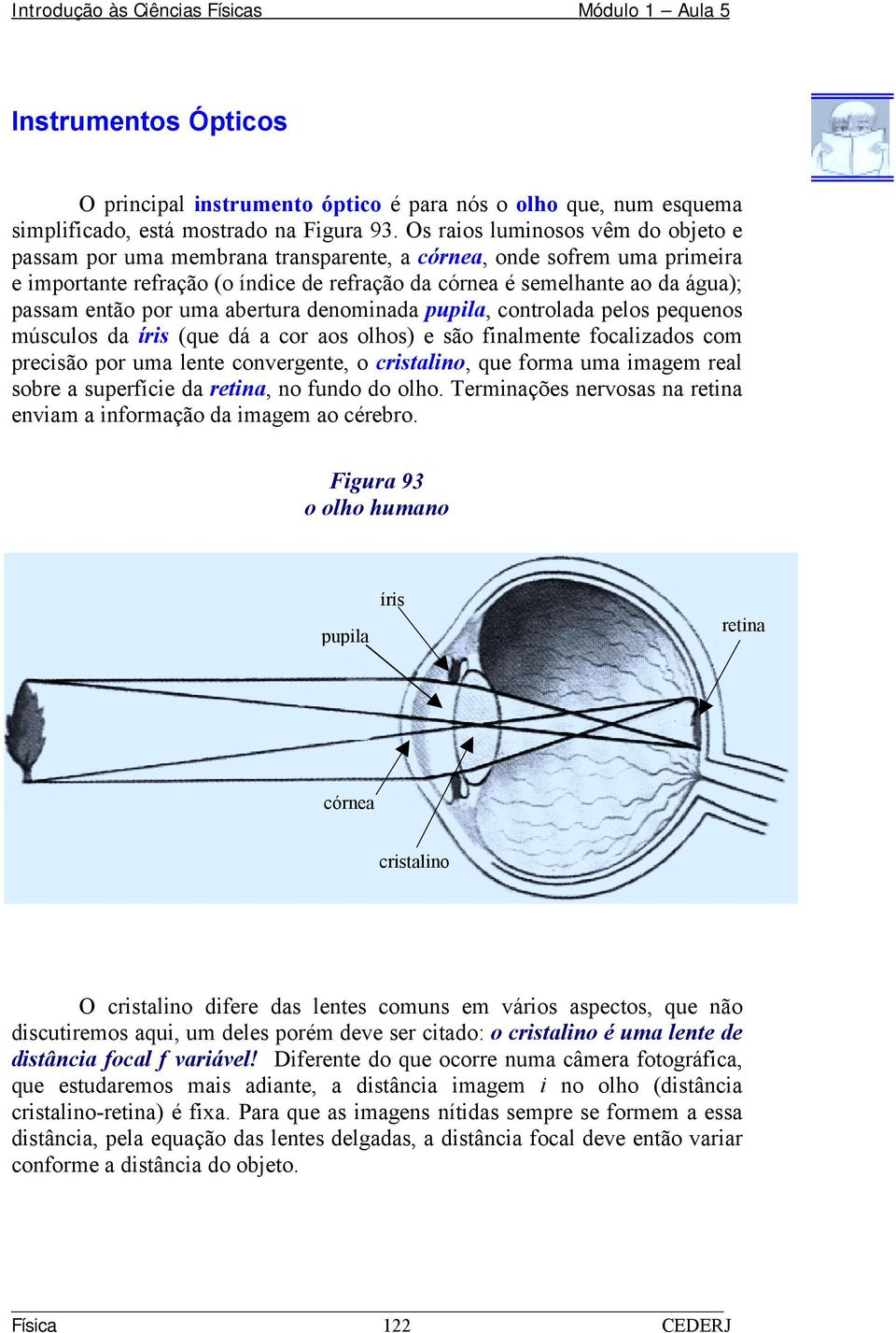 então por uma abertura denominada pupila, controlada pelos pequenos músculos da íris (que dá a cor aos olhos) e são finalmente focalizados com precisão por uma lente convergente, o cristalino, que