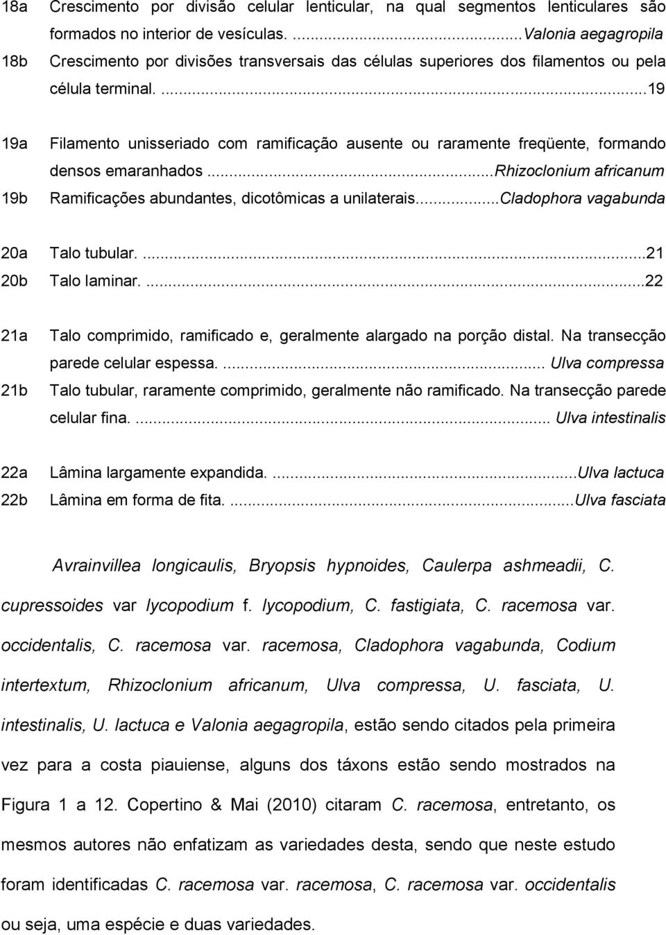 ...19 19a 19b Filamento unisseriado com ramificação ausente ou raramente freqüente, formando densos emaranhados...rhizoclonium africanum Ramificações abundantes, dicotômicas a unilaterais.