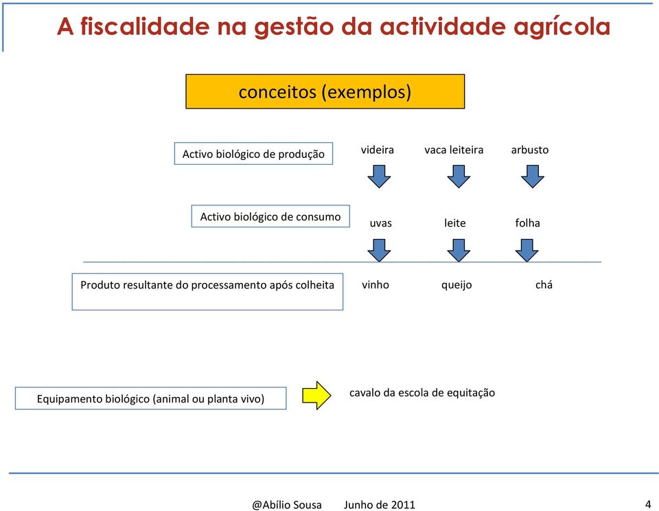 processamento após colheita vinho queijo chá Equipamento biológico (animal