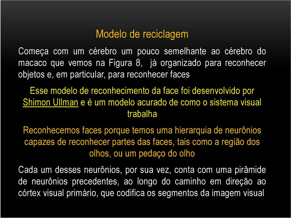 faces porque temos uma hierarquia de neurônios capazes de reconhecer partes das faces, tais como a região dos olhos, ou um pedaço do olho Cada um desses neurônios,