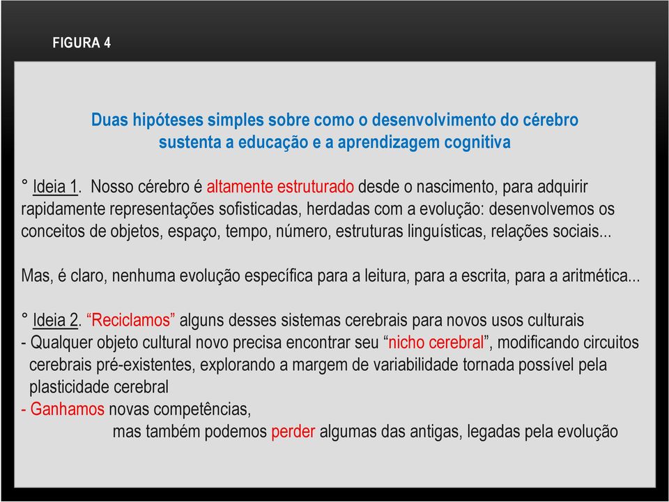 estruturas linguísticas, relações sociais... Mas, é claro, nenhuma evolução específica para a leitura, para a escrita, para a aritmética... Ideia 2.