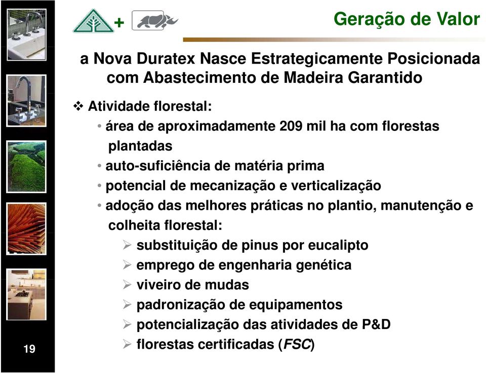 e verticalização adoção das melhores práticas no plantio, manutenção e colheita florestal: substituição de pinus por eucalipto