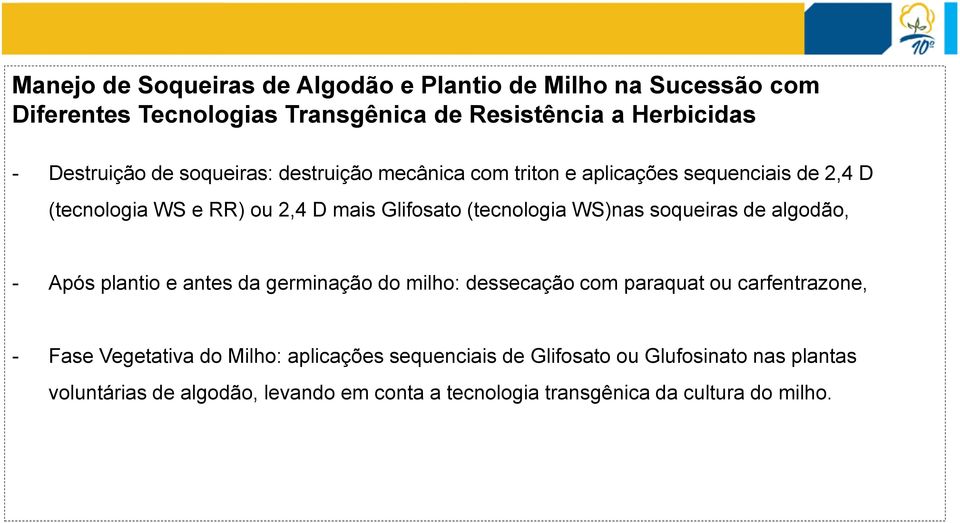 soqueiras de algodão, - Após plantio e antes da germinação do milho: dessecação com paraquat ou carfentrazone, - Fase Vegetativa do Milho: