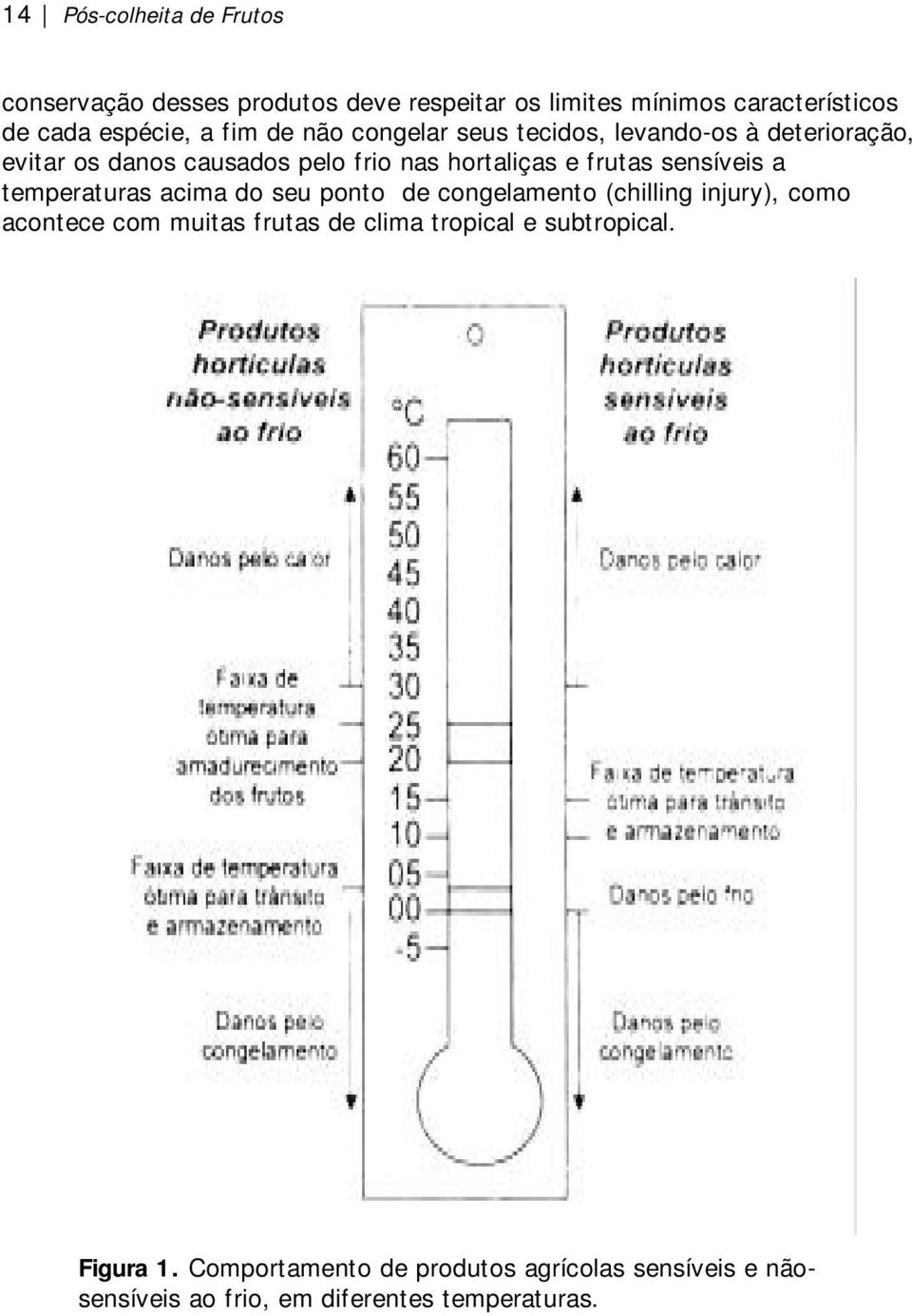 sensíveis a temperaturas acima do seu ponto de congelamento (chilling injury), como acontece com muitas frutas de clima