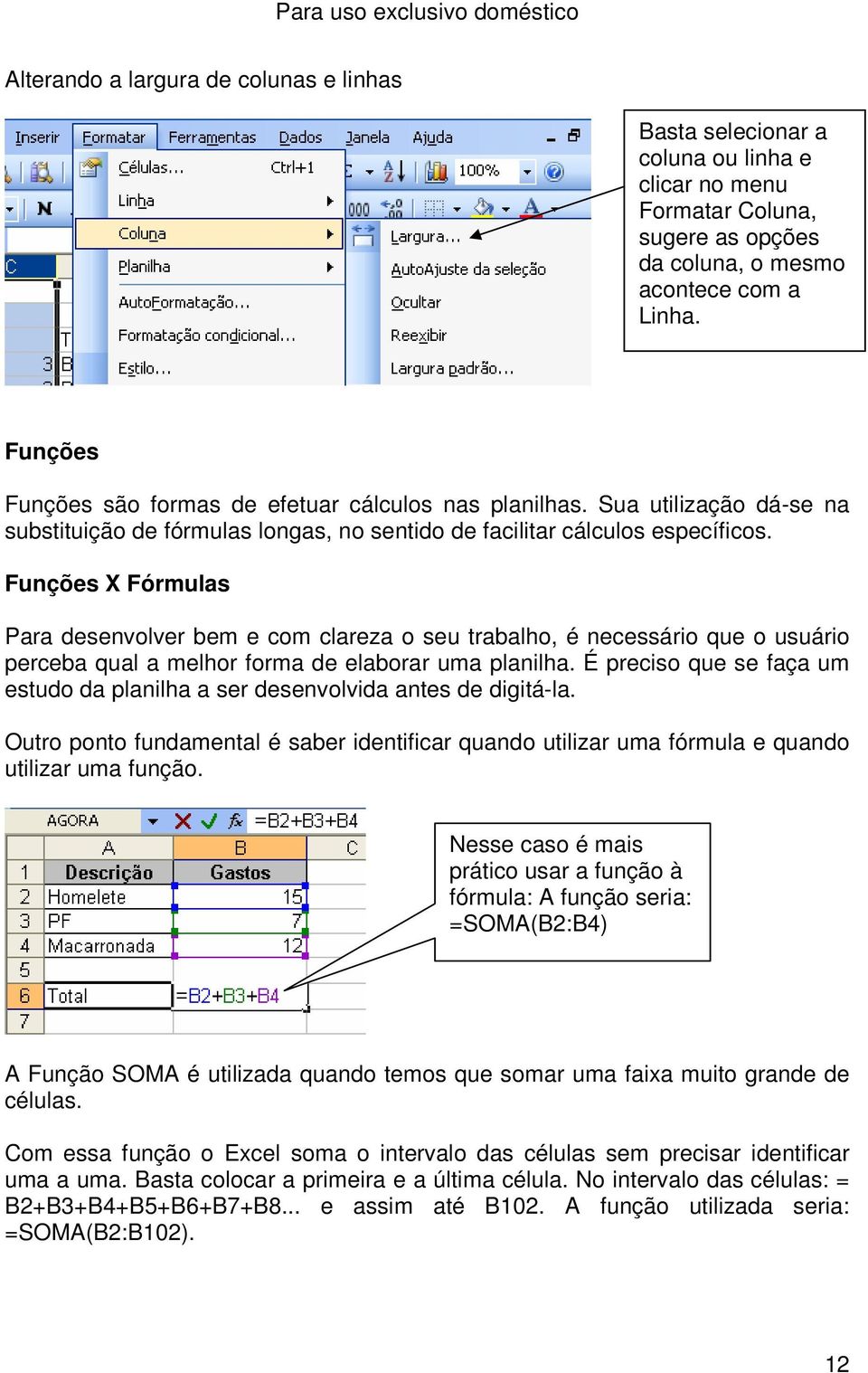 Funções X Fórmulas Para desenvolver bem e com clareza o seu trabalho, é necessário que o usuário perceba qual a melhor forma de elaborar uma planilha.