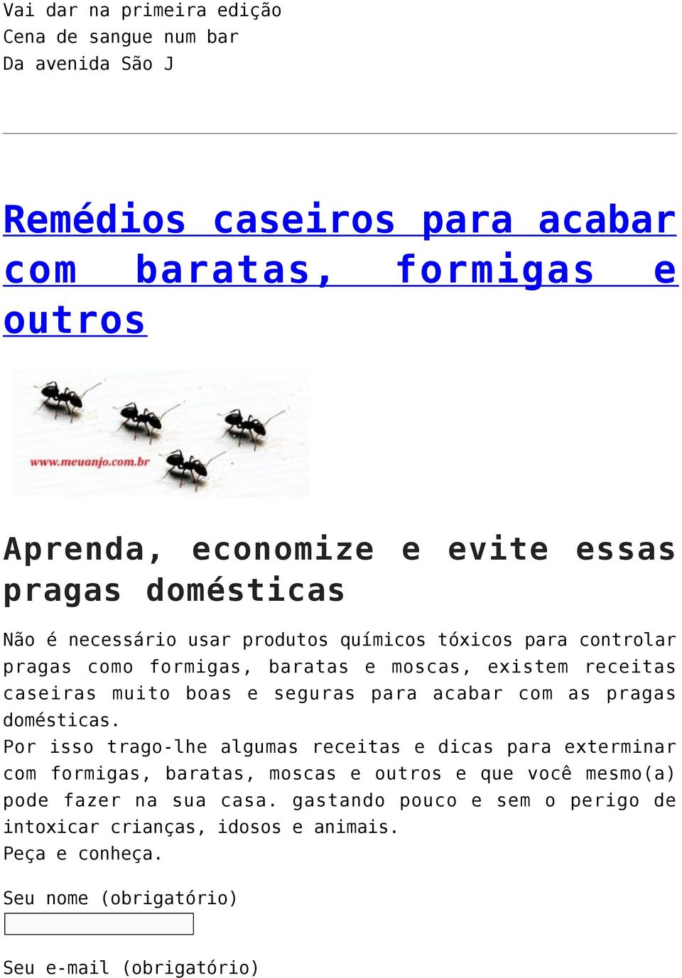 receitas caseiras muito boas e seguras para acabar com as pragas domésticas.