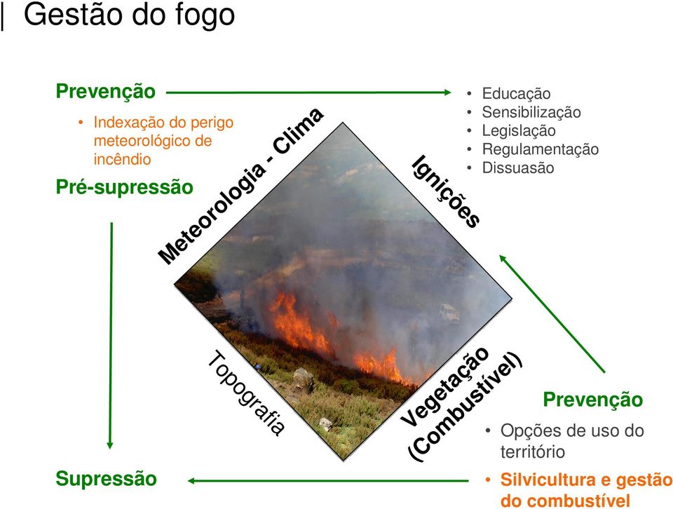 li ç ni Ig Indexação do perigo meteorológico de incêndio o l) ã aç tíve t e s