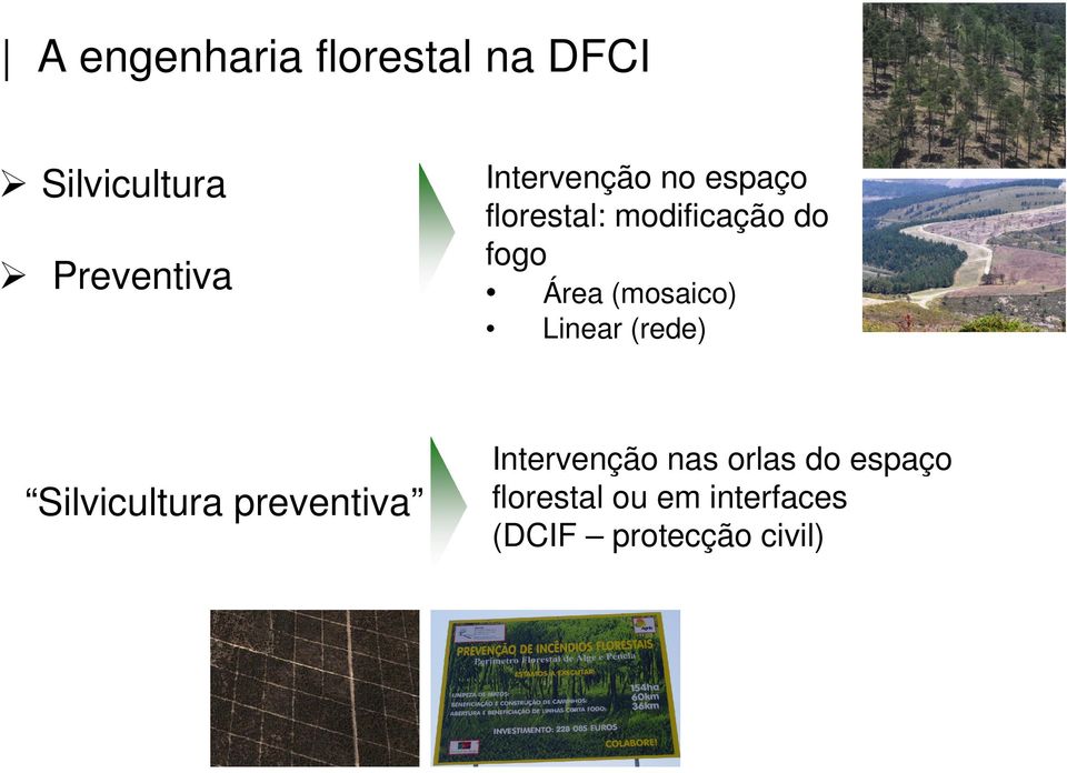 (mosaico) Linear (rede) Silvicultura preventiva Intervenção