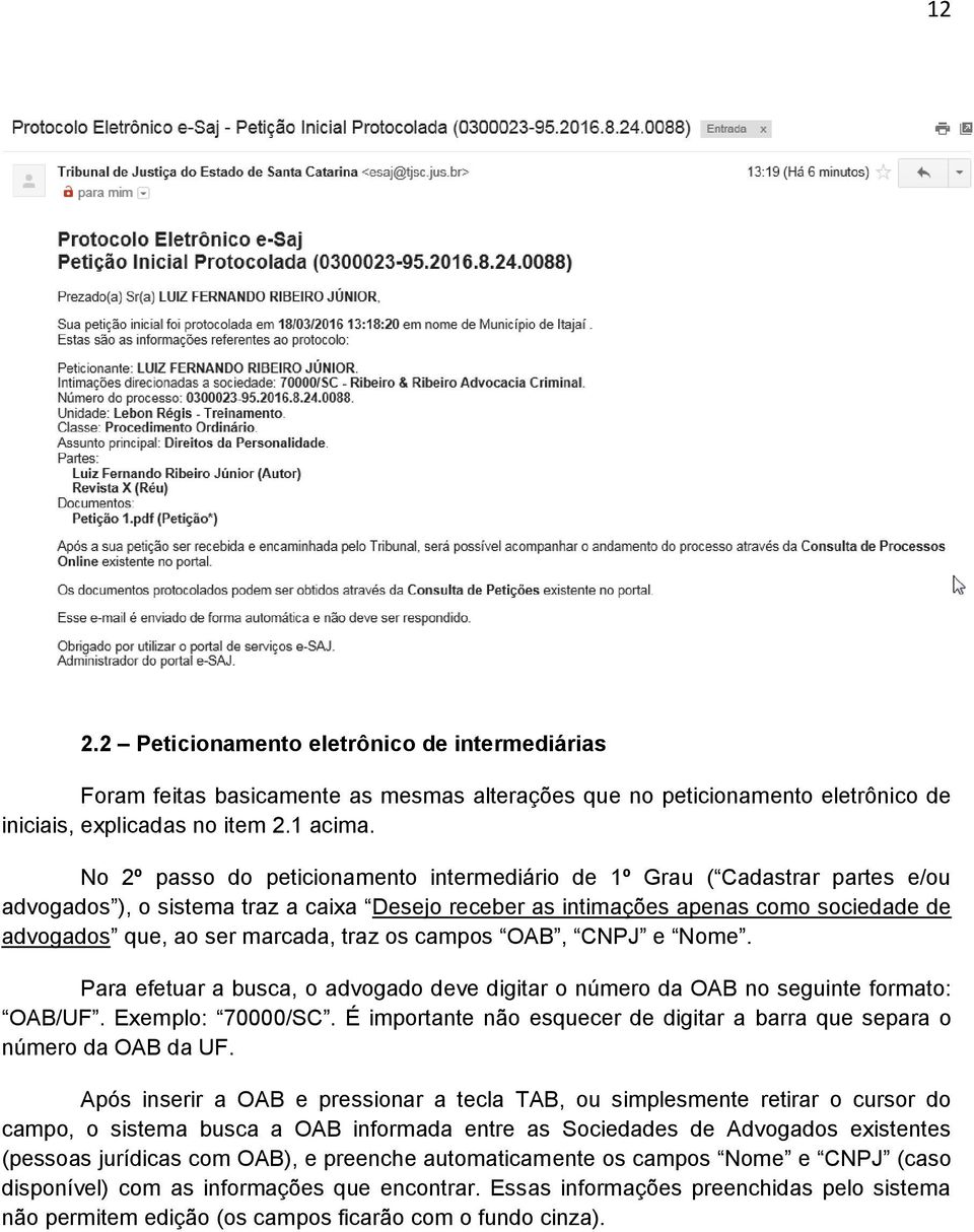 traz os campos OAB, CNPJ e Nome. Para efetuar a busca, o advogado deve digitar o número da OAB no seguinte formato: OAB/UF. Exemplo: 70000/SC.