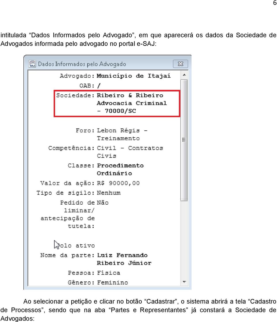 a petição e clicar no botão Cadastrar, o sistema abrirá a tela Cadastro de