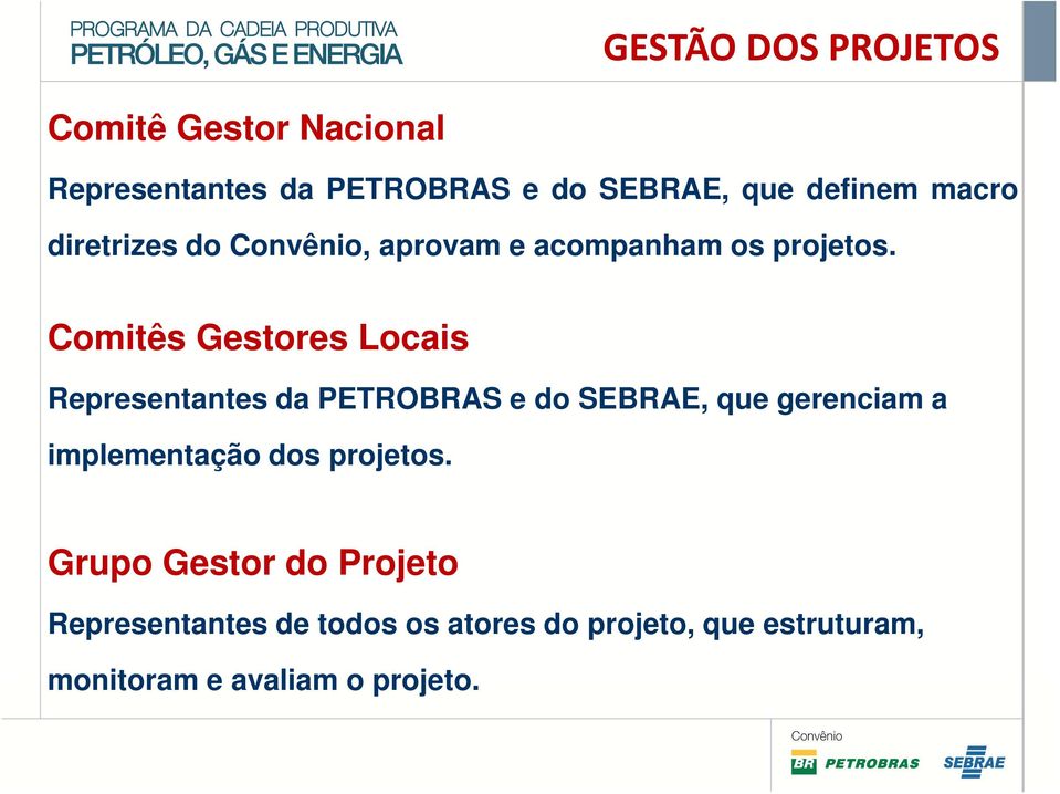 Comitês Gestores Locais Representantes da PETROBRAS e do SEBRAE, que gerenciam a implementação