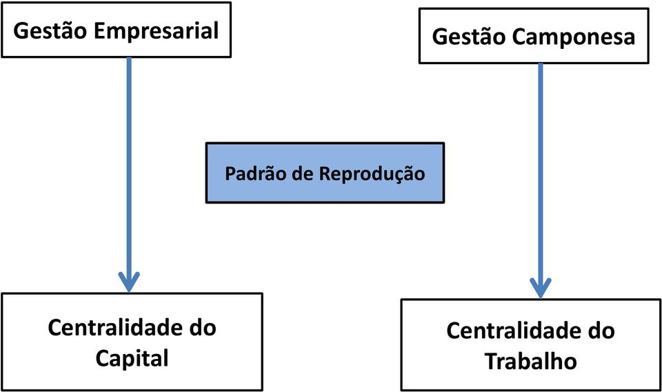 Reprodução Centralidade do