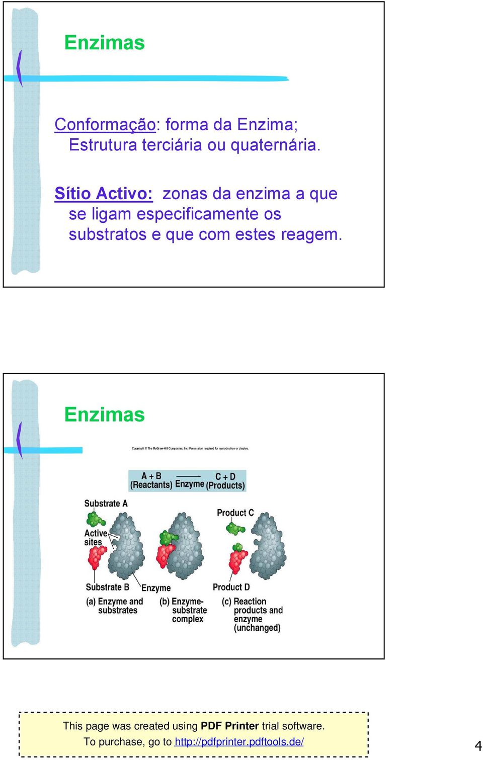 Sítio Activo: zonas da enzima a que se ligam