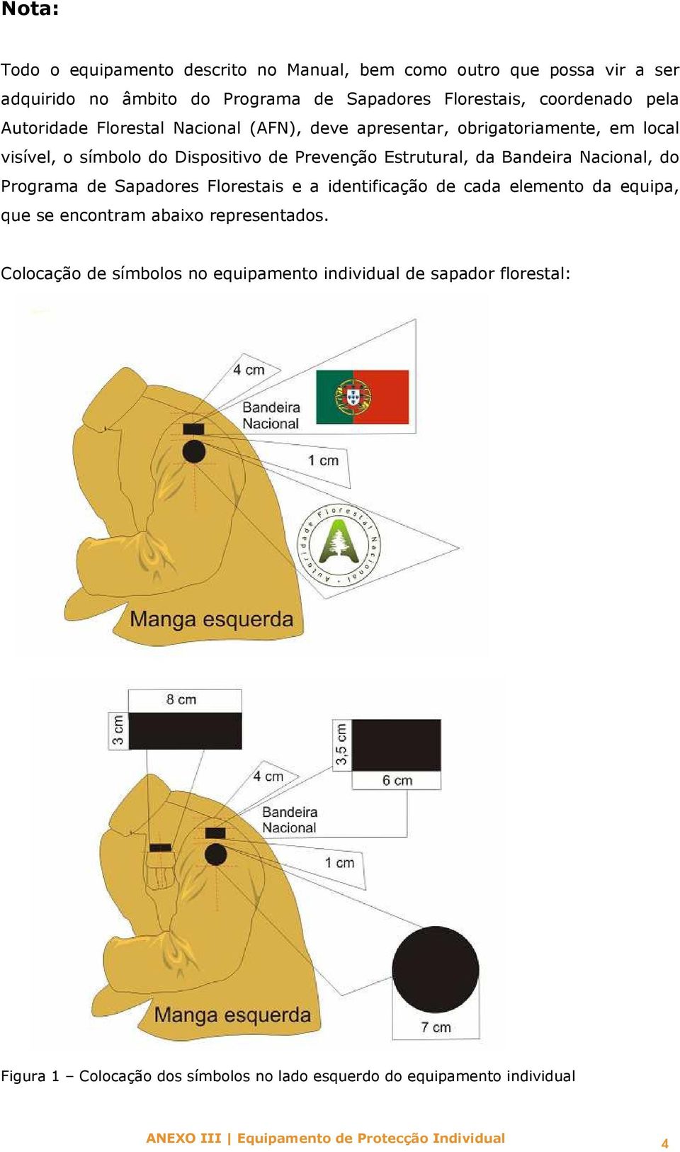 Estrutural, da Bandeira Nacional, Programa de Sapares Florestais e a identificação de cada elemento da equipa, que se encontram