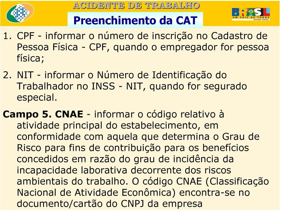 CNAE - informar o código relativo à atividade principal do estabelecimento, em conformidade com aquela que determina o Grau de Risco para fins de contribuição