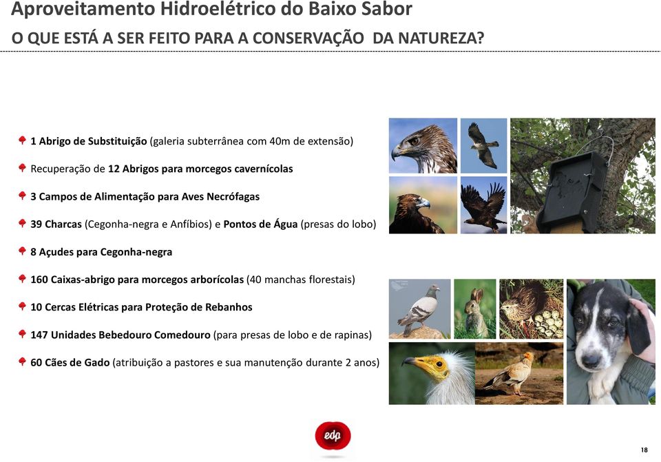 Alimentação para Aves Necrófagas 39 Charcas(Cegonha-negra e Anfíbios) e Pontos de Água(presas do lobo) 8 Açudes para Cegonha-negra 160