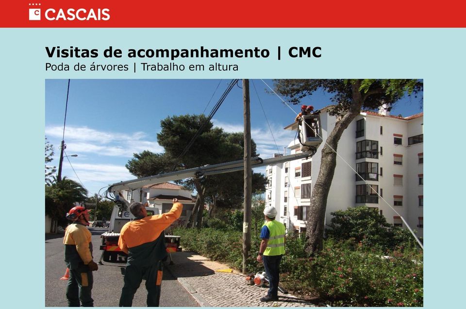 CMC Poda de